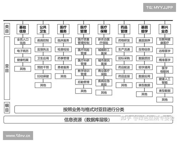 人工智能助力乒乓球大数据模型预测运动员伤病风险与康复情况 人工智能助力乒乓球大数据模型预测运动员伤病风险与康复情况